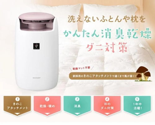 養老小家電市場爆發增長，美的、海爾、格力競爭白熱化